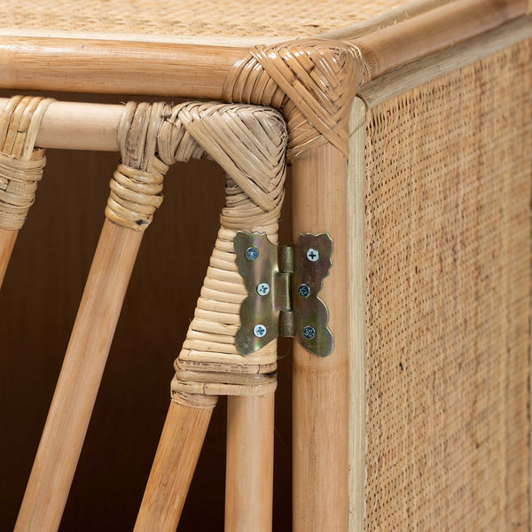 Modern Bohemian Natural Brown Rattan 2-Door Storage Cabinet